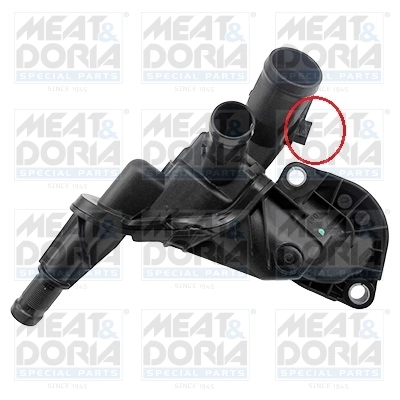 Thermostat, coolant
